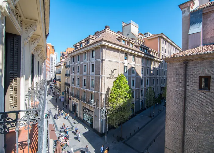 Petit Palace Preciados